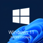 Windows 11 Professional